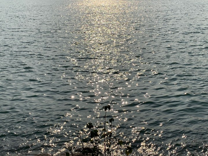 《你是時間的長河》