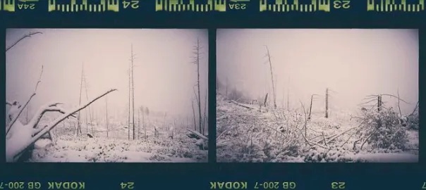 與視障人士對談: 當攝影是一種障礙