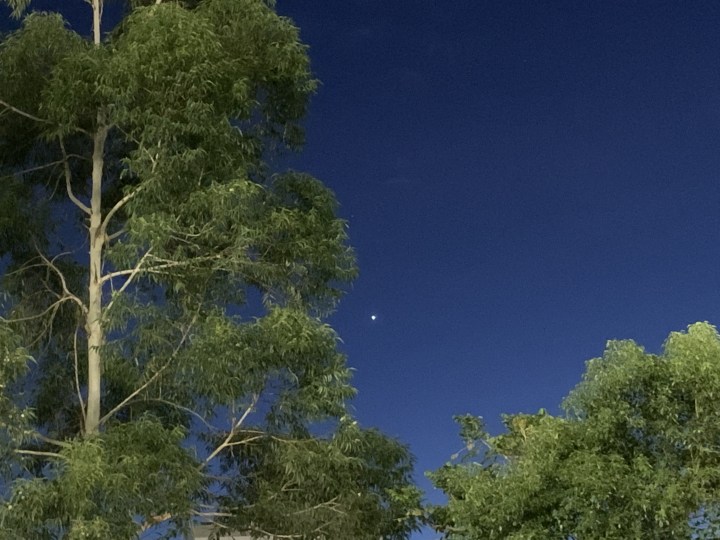 《特權 – 弱弱相爭》Aug 11,&nbsp;2023